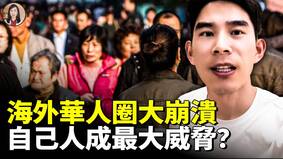 逃离华人圈最容易被坑的竟是自己人(视频)