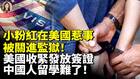 小粉紅在美國惹事美國收緊發放簽證中國人留學難了(視頻)