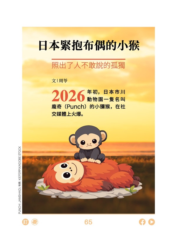 日本緊抱布偶的小猴 照出了人不敢說的孤獨