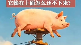 “大白猪趴电线杆”视频疯传传博主遭拘15天(组图)