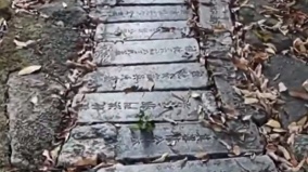 无锡国家森林公园竟用墓碑铺山路引发众怒(图)