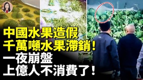 中國水果造假千萬噸水果滯銷一夜崩盤(視頻)