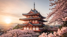 日本古寺被中國人買斷後拆除夷為平地(圖)