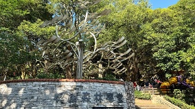 桃园虎头山奥尔森林学堂&全龄友善步道(组图)