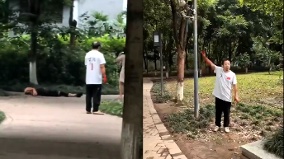 重慶慘烈血案傳高校老師復仇刀殺副校長(組圖)