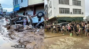 「每家每戶都有蛇」廣西災民不敢進家(圖)