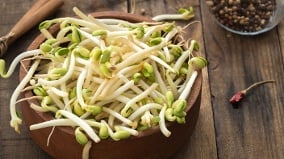 绿豆芽好处多这4类人食用需谨慎(图)