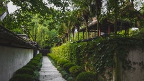 錯難瞞古時悲情更虐心(圖)