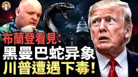 第三位盟友轟然倒下川普孤影背後的致命殺局(視頻)