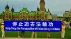 361名法轮功学员炼钢炉虐杀惨案调查报告(图)