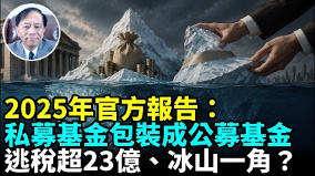 中共審計署2025年度申報逃稅金額被嚴重縮水(視頻)
