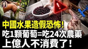 中國水果造假恐怖吃1顆葡萄=吃24次農藥(視頻)