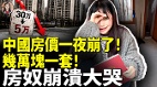 中國房價一夜崩了幾萬塊一套各地都有(視頻)