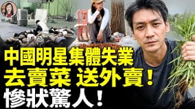 中国明星集体失业去卖菜送外卖惨状惊人(视频)