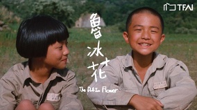 《魯冰花》為何成為台灣經典原因讓人淚奔(視頻)