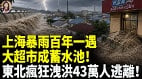 上海暴雨百年一遇大超市成蓄水池(視頻)