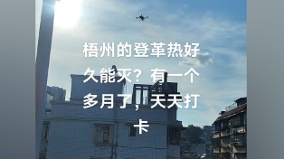 登革热基孔肯尼亚热疫情上升中国多地拉响警报(组图)