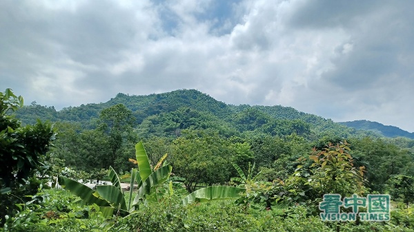 一步出「鍾理和紀念館」，即可見對面山頭。鍾理和就是大自然環境間構思，創作出動人文學。（攝影：盧乙欣/看中國）