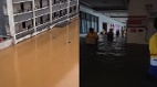 廣西貴港萬名師生被困校園家長用橡皮艇送物資(圖)