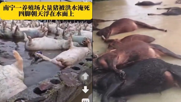 网民