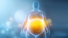 醫界福爾摩斯揭「恐脂症」真相:沒有脂肪就沒有大腦(圖)