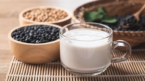 这种豆子常吃养肾腰不酸精力也足(图)