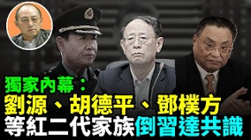 【袁紅冰熱點】獨家內幕:劉源胡德平鄧樸方等紅二代家族倒習達共識(視頻)