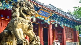 公安大学热过北大清华最聪明大脑沦为体制打手(图)
