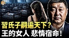 習氏子嗣遍天下起底「人間富貴花」景甜(視頻)