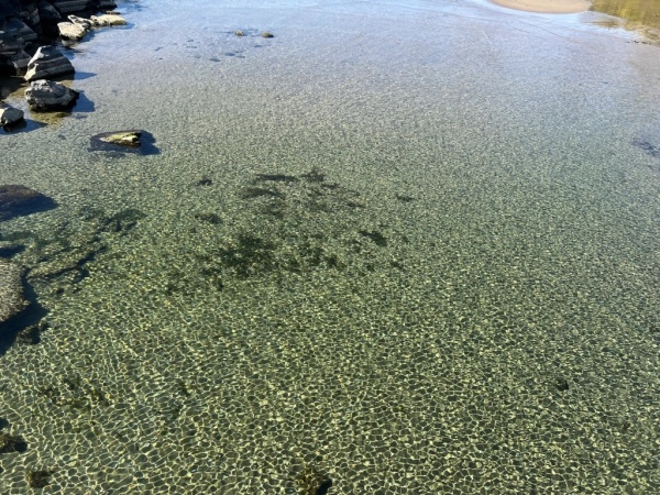 在岸边的安大略湖水清澈，波光粼粼