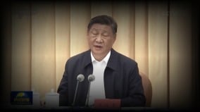 习近平考察纾困没蔡奇的影儿何立峰陪伴接班人成谜(组图)