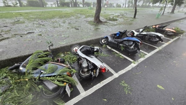 台风山陀儿强风豪雨 高雄整排机车遭吹倒