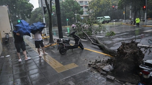 17級超強颱風影響上海緊急提醒市民囤水囤糧(圖)