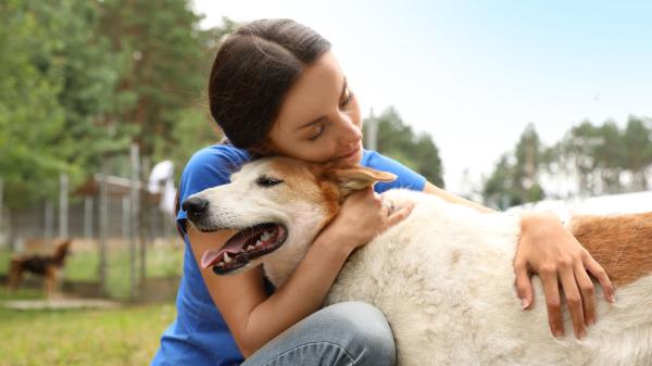 有靈性的動物會想盡辦法報答人類。