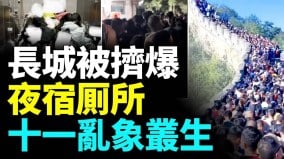 十一长城被挤爆事故频发国庆出游成吐槽大会(视频)