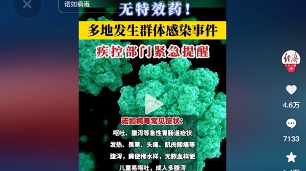 諾如病毒無特效藥陝西海南等多地爆發群體感染(圖)