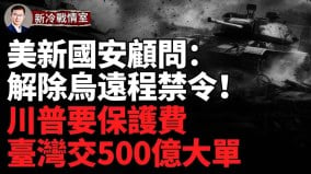 乌克兰大杀器：60吨巨炮上阵库尔斯克大会战俄810海军陆战旅遭致命打击(视频)