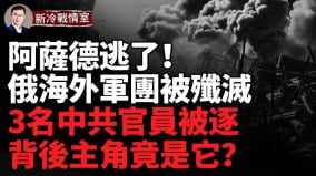 俄乌战争再升级俄军单日战损创新高俄军人肉攻势已达疯狂(视频)