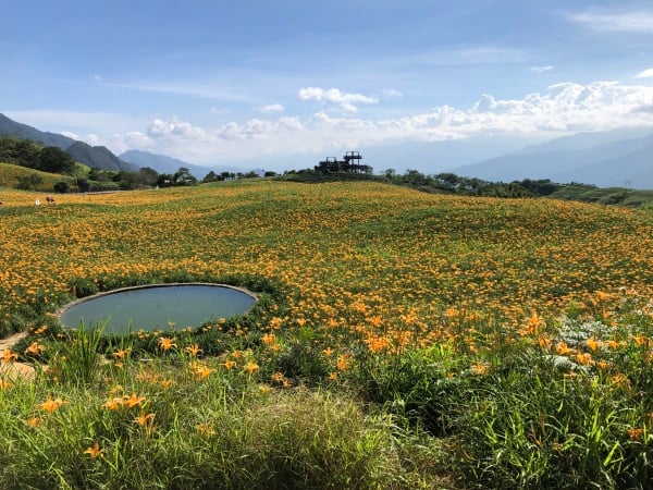 富里 六十石山 天池