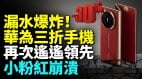 小粉红们付出太多才醒悟华为为何出搞笑产品(视频)