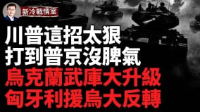 俄军装甲集群引入雷区被围歼乌军导弹袭击顿涅斯克俄军前线弹药库(视频)