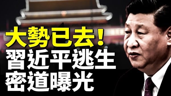 大势已去习近平2公里逃生密道曝光(视频)