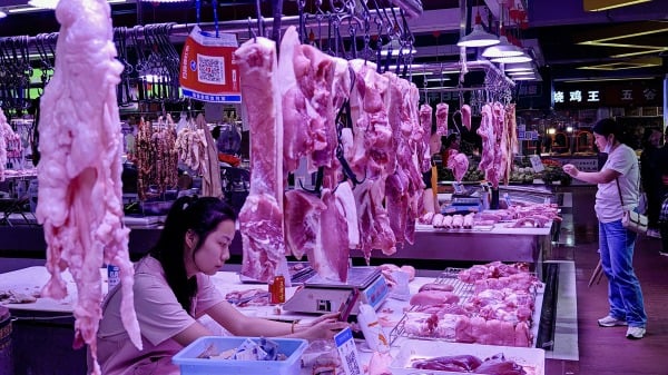 “到底什么能吃”如何根除中国食品安全问题(图)
