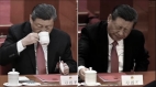 习近平是当儿皇帝还是当关门皇帝(图)