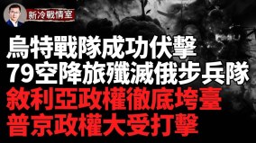 政权垮台阿萨德转机疑似被击落(视频)