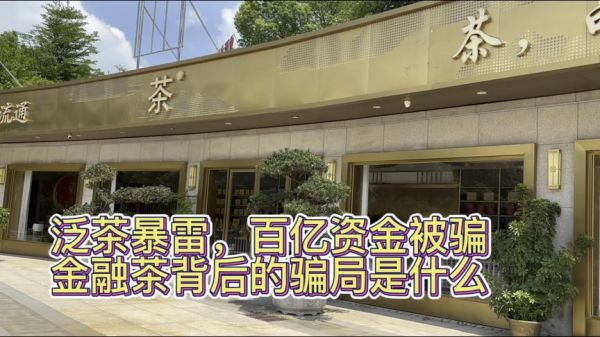 中國「泛茶」爆雷：死於過度貪婪亡於認知低下(圖)