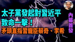 袁紅冰：「摜蛋」反黨組織和太子黨攻擊矛頭對準蔡奇和李希(圖)