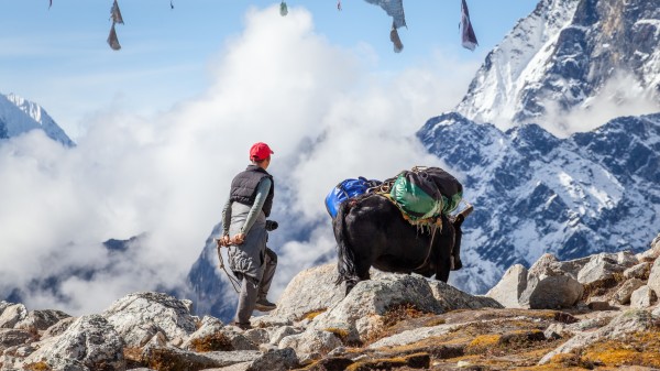 在这里，氧气含量极低，登山者的生存风险显著增加