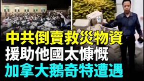 加拿大鹅援助灾区却被倒卖甘肃灾民冬夜户外打地铺(视频)