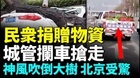 貧困省牙縫裏省出的菜到了官太太家裏；警察們偷水果(視頻)